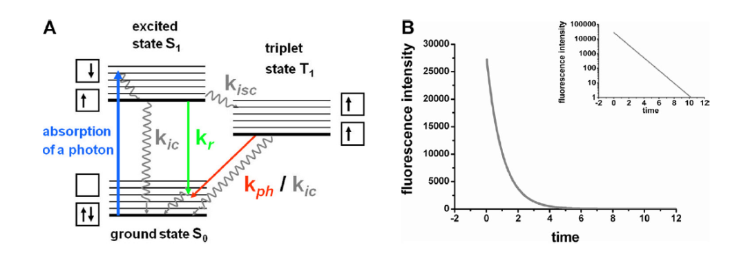 1718777632359573.png 46d0cfdce3de0f1ff71e0a4ea0e1892a.png